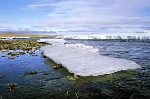 Siberia: Arctic tundra - snow melts in small river valley