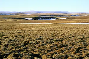 Kara: Arctic tundra of Taimyr peninsula near Kara sea