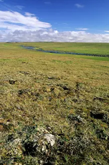 Siberia: Arctic tundra, a typical landscape near Dikson
