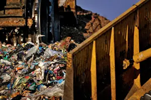 Scrap: Ardea cinerea Ardea