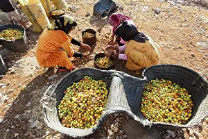 Collected: Argan