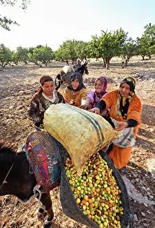 Sack: Argan