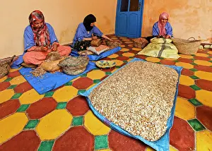 Collected: Argan