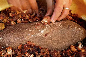 Collected: Argan