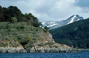 Fuego: Argentina - beagle channel