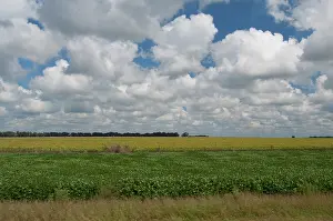 Pampa: Argentina, Buenos Aires, San Antonio de