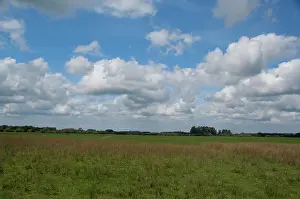 Pampa: Argentina, Buenos Aires, San Antonio de
