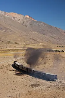 Patagonian: Argentina, Chubut Province, Esquel. La Trochita