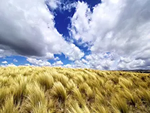Michele Molinari: Argentina, Cordoba Province. Quebrada del Condorito National