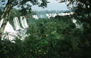Pat Morris: ARGENTINA - IGUAZU FALLS