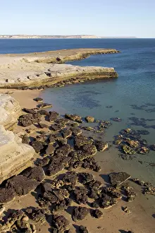 Piramide: Argentina - low tide in Golfo Nuevo, at Punta Pardela