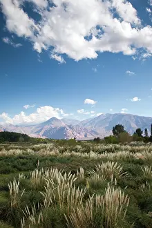 Mendoza: Argentina, Mendoza Province, Uspallata
