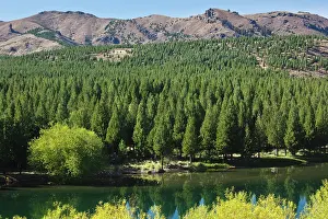 Neuquen: Argentina, Neuquen Province, Confluencia