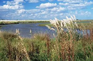 Pampa: ARGENTINA - Pampa River, Salado Depression