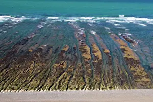 Caleta: Argentina, Patagonia, Province Chubut: Valdes Peninsula.Low