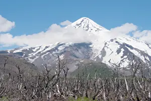 Peace: Argentina, Patagonia, Province Neuquen