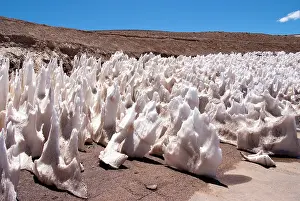 Brava: Argentina, Provinca La Rioja, ice formation