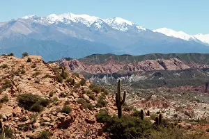 Peace: Argentina, Salta, typical landscape of the