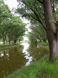 Pampa: Argentina, shaded river in the Pampa region