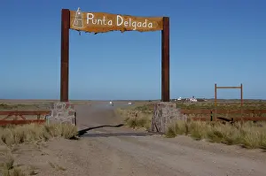 Punta: Argentina, Valdes Peninsula, Patagonia