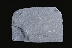 Grained: Argillaceous Sandstone