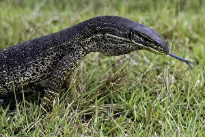 Argus: Argus Monitor