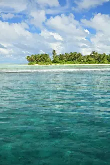Stuart: Ari Atoll, The Maildives, Indian Ocean