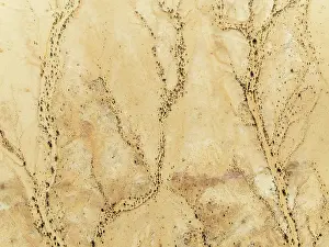 Dry River: Arid desert plain and dried-up river beds with sparse vegetation