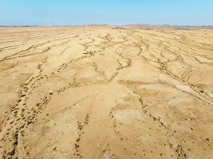 Dry River: Arid desert plain and dried-up river beds with sparse vegetation