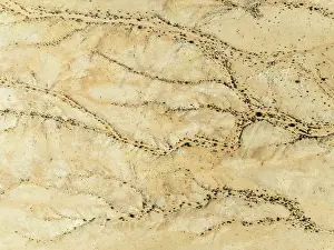 Dry River: Arid desert plain and dried-up river beds with sparse vegetation