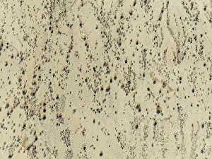 Dry River: Arid desert plain and dried-up riverbeds with sparse vegetation