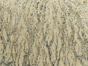 Dry River: Arid desert plain and dried-up riverbeds with sparse vegetation