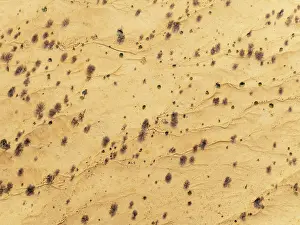 Dry River: Arid desert plain with sparse vegetation