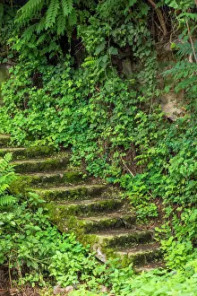 Wilson: Armenia, Lori Province, Alaverdi. Old outdoor stairway