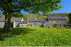 200617: Arncliffe village green in springtime, Littondale