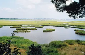 Rspb: Arne Nature Reserve (RSPB)
