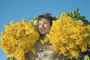 Arnica: Arnica