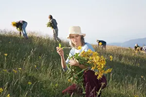 Nurturing: Arnica