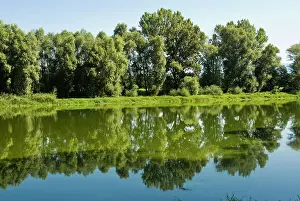 Arno: Arno River at Ponte Buriano, Ponte Buriano