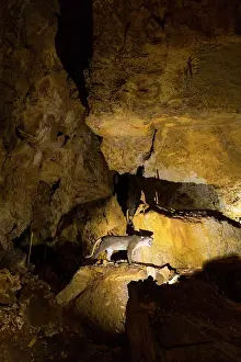 Awareness: Arrikrutz cave, Onati, Gipuzkoa, The Basque Country
