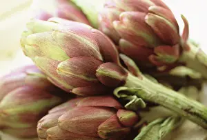 Artichoke: Artichoke