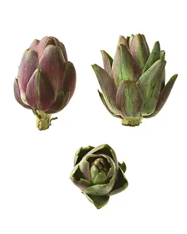 Composition: Artichoke