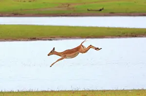 Dynamics: This artificial lake is the border with Zambia