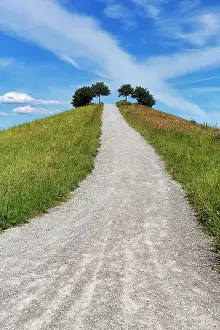 Bicycle: Artificially created hill, hiking trail, cycle p