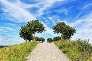 2000: Artificially created hill, vantage point, trees