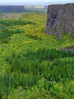 Zwick: Asbyrgi canyon in Vatnajokull National Park. The