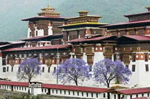 Dennis: Asia, Bhutan. Exterior view of Punakha Dzong