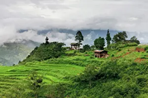 Terraces: Asia, Bhutan. Rice fields and terraces spread