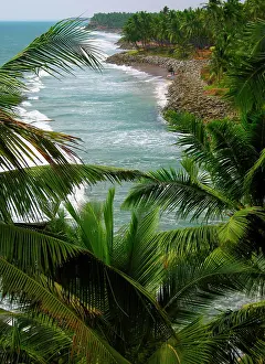 Swimmer: Asia, India, Kerala, Varkala. The cliffs