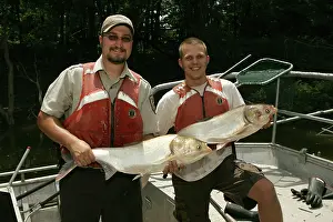 Workers: Asian Carp